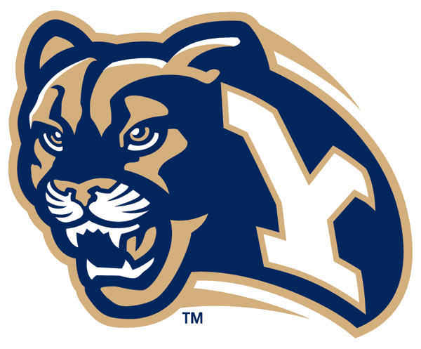 Brigham Young Cougars 1999-2004 Secondary Logo v2 diy iron on heat transfer